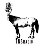 S3 Episode 53 – TNS Radio Punk Podcast